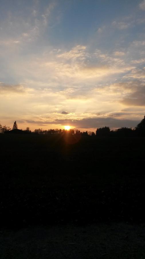 Bed and Breakfast Schlicht & Einfach Traumhaft Unterkulm Zewnętrze zdjęcie